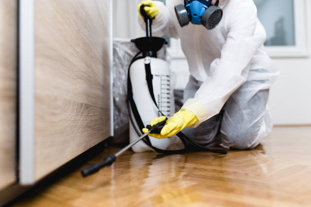 Best Commercial Pest Control Services  in Piermont, NY