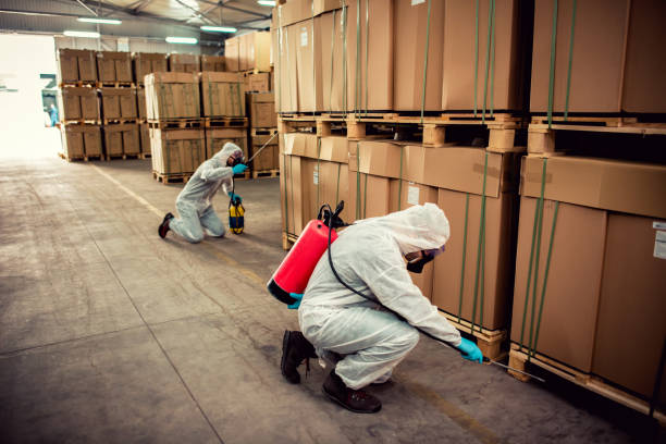 Best Mosquito Control Services  in Piermont, NY