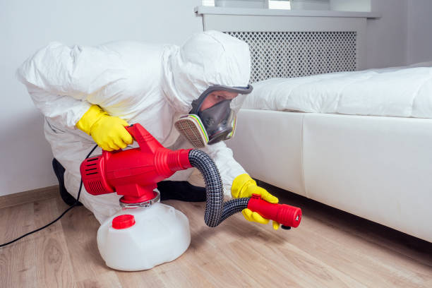 Best Rat Extermination Near Me  in Piermont, NY