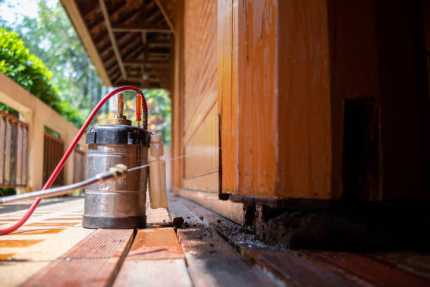 Best Best Pest Control Companies  in Piermont, NY