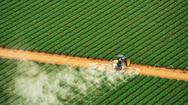Best Pest Removal Services  in Piermont, NY