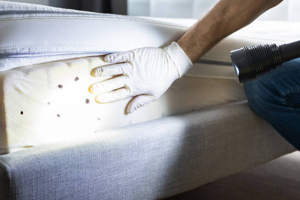 Best Exterminator Services  in Piermont, NY