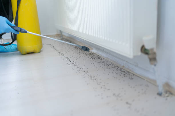 Best Pest Inspection Near Me  in Piermont, NY